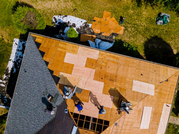 Best Roof Repair Services  in Eielson Af, AK